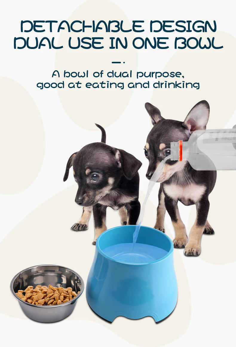 不銹鋼寵物餵食&飲水碗 - 健康護脊飼養首選