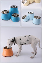 不銹鋼寵物餵食&飲水碗 - 健康護脊飼養首選