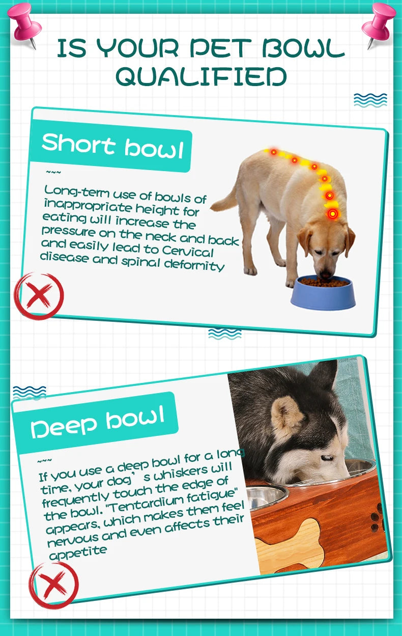 不銹鋼寵物餵食&飲水碗 - 健康護脊飼養首選