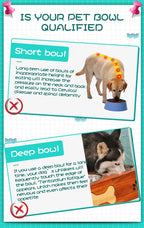 不銹鋼寵物餵食&飲水碗 - 健康護脊飼養首選