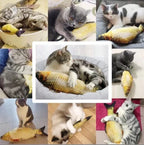 3D魚形貓薄荷軟毛絨玩具 - 抗咬互動咀嚼神器