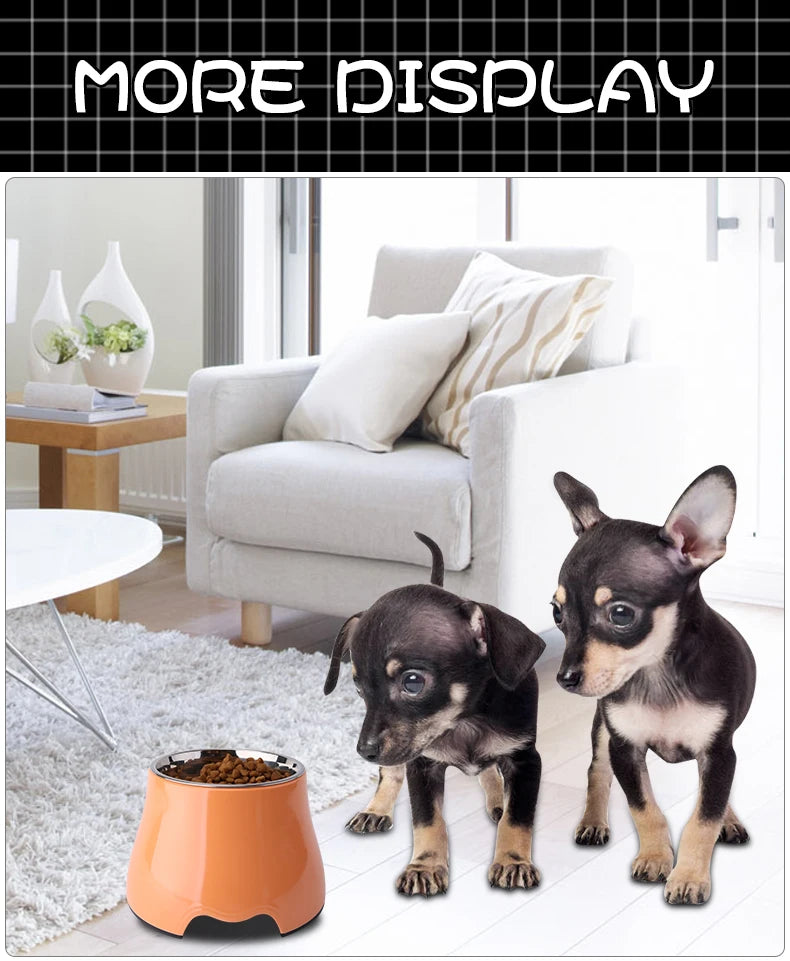 不銹鋼寵物餵食&飲水碗 - 健康護脊飼養首選