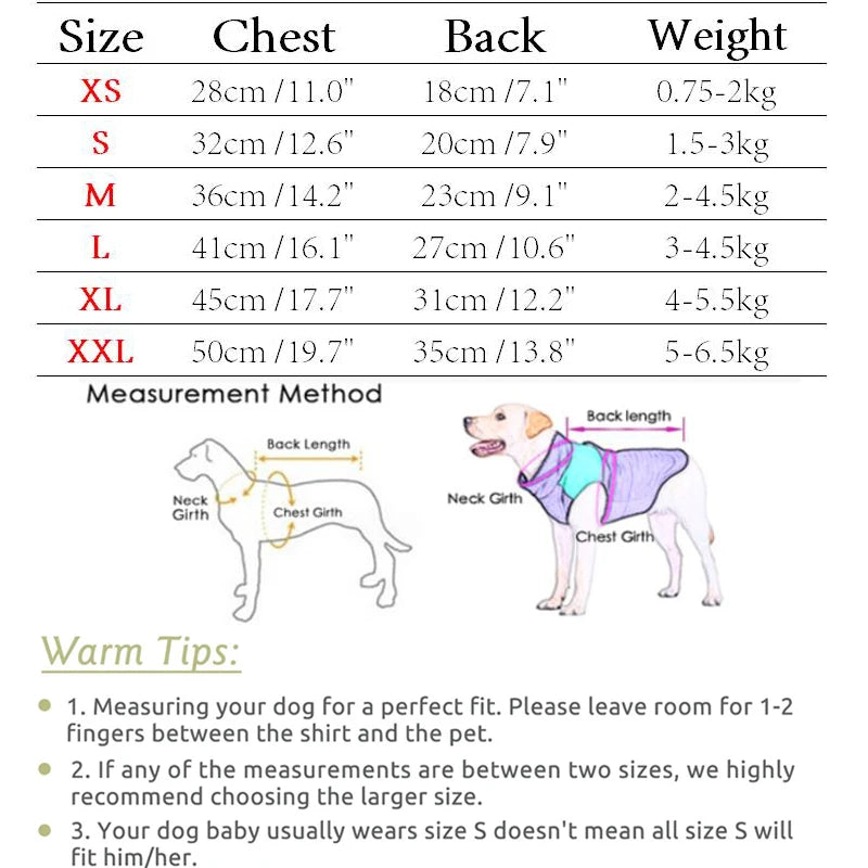 秋季牛仔布狗狗外套 - 耐穿時尚寵物服