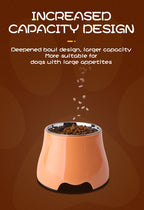 不銹鋼寵物餵食&飲水碗 - 健康護脊飼養首選