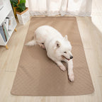 可洗防滑狗狗尿墊 - 防水寵物訓練墊