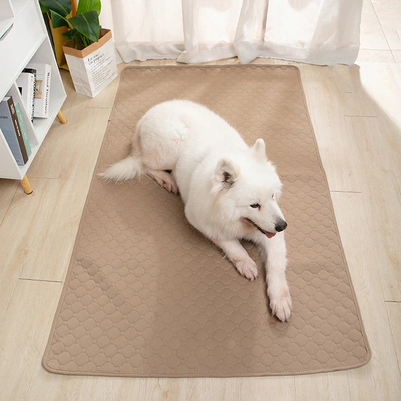 可洗防滑狗狗尿墊 - 防水寵物訓練墊