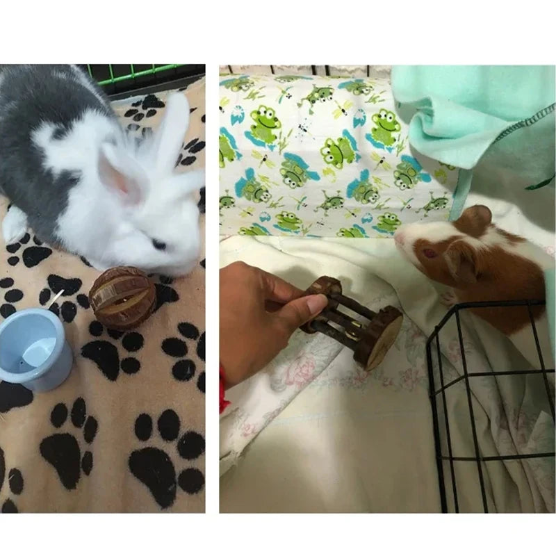天然木製小動物啃咬玩具 - 兔兔倉鼠玩樂啞鈴