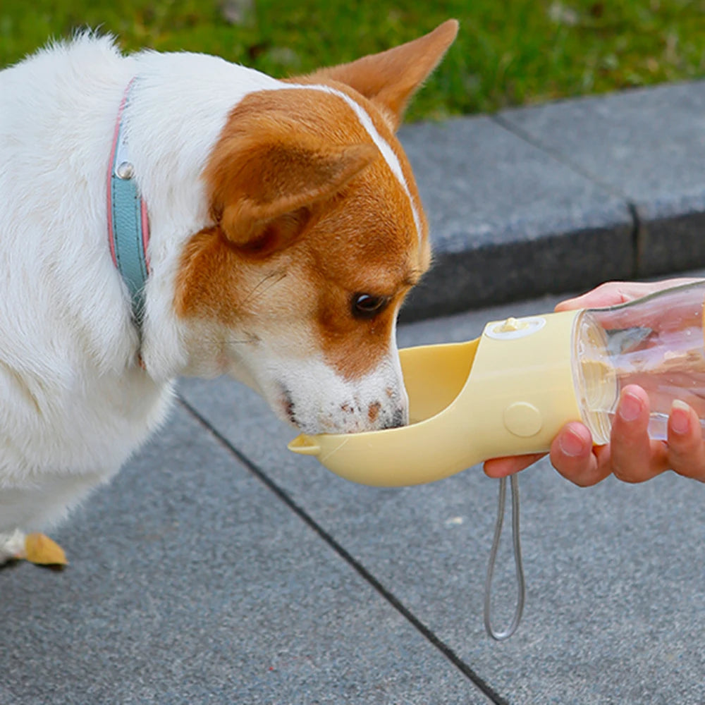 便攜式2合1寵物水壺 - 貓狗外出飲水進食神器