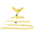 可調節幼犬背帶套裝 - 彩色反光安全出行