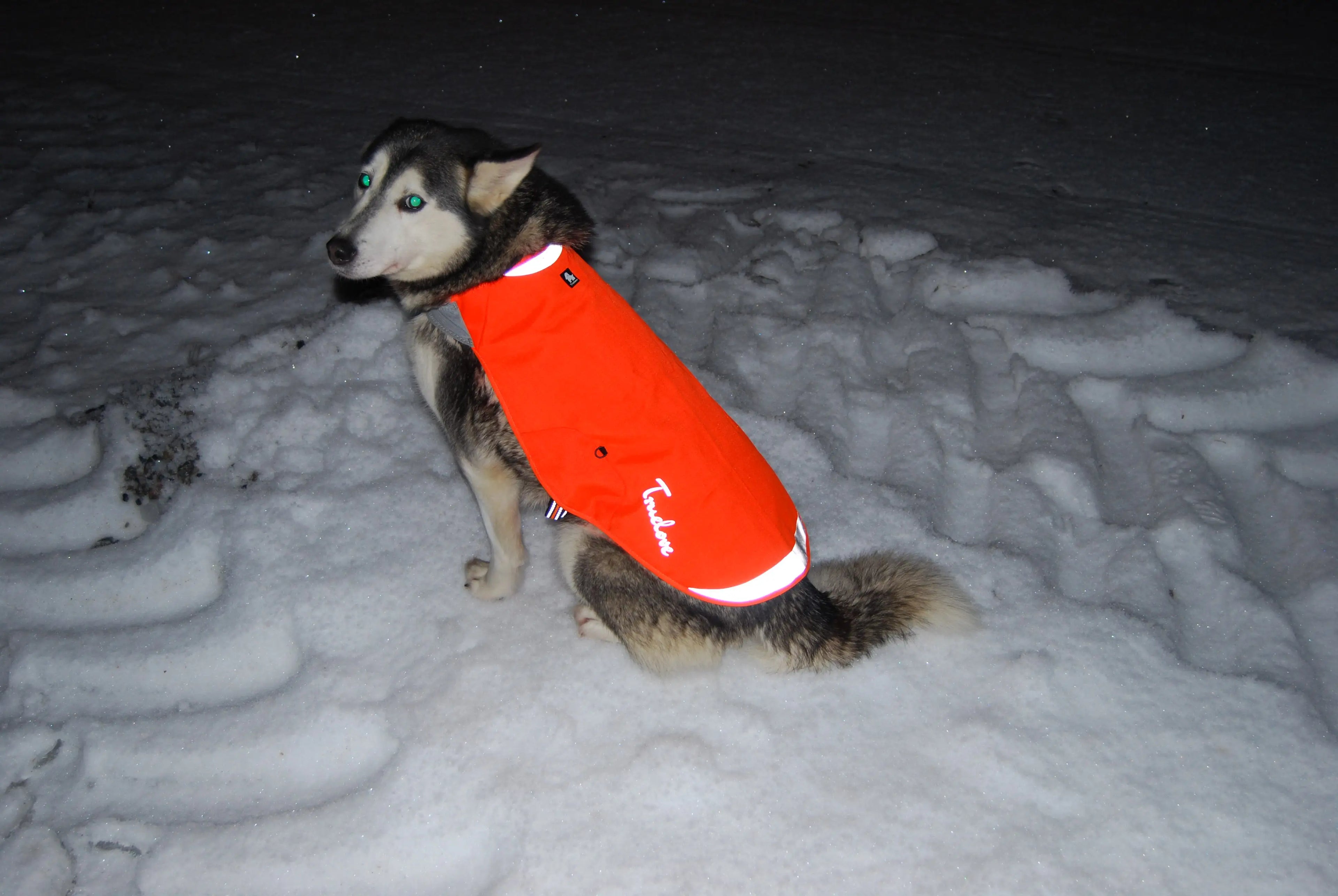 秋季防水狗狗背心 - 輕便透氣寵物戶外服