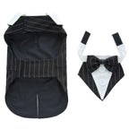 時尚寵物宴會禮服 - 完美宴會貓狗服飾