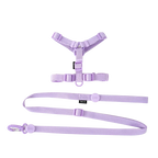 可調節幼犬背帶套裝 - 彩色反光安全出行
