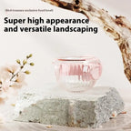 防溢透明鸚鵡餵食碗 - 籠掛式鳥食器