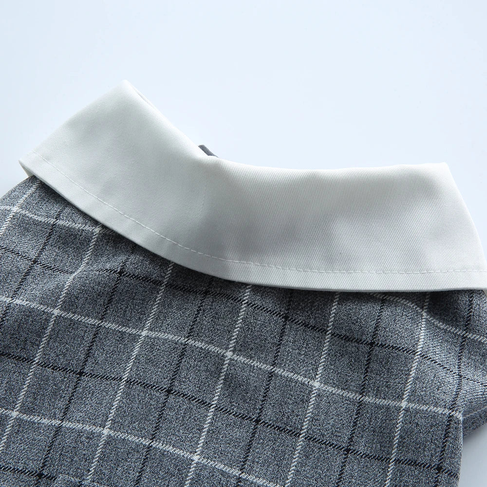 時尚寵物宴會禮服 - 完美宴會貓狗服飾