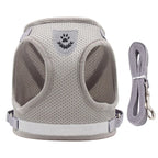 寵物外出繩 - 小貓小狗防走失肩背帶