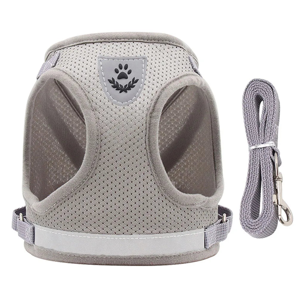 寵物外出繩 - 小貓小狗防走失肩背帶