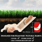 專業木製倉鼠爬梯秘密小屋 - 互動玩樂天堂