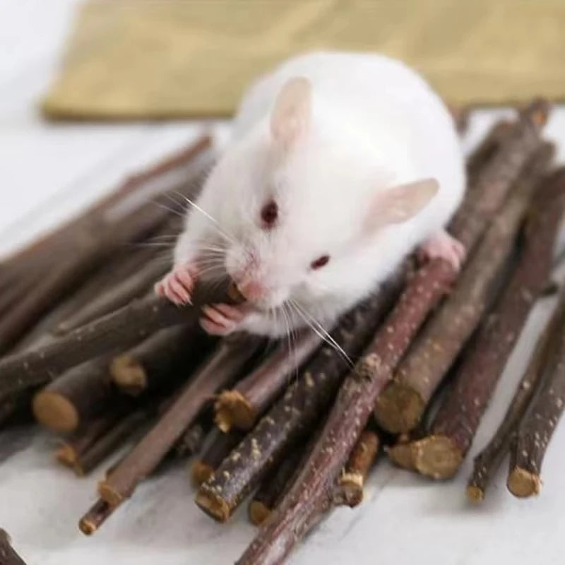 天然木製小動物啃咬玩具 - 兔兔倉鼠玩樂啞鈴