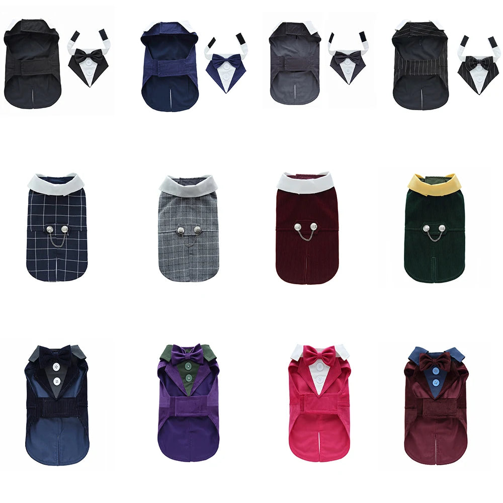 時尚寵物宴會禮服 - 完美宴會貓狗服飾