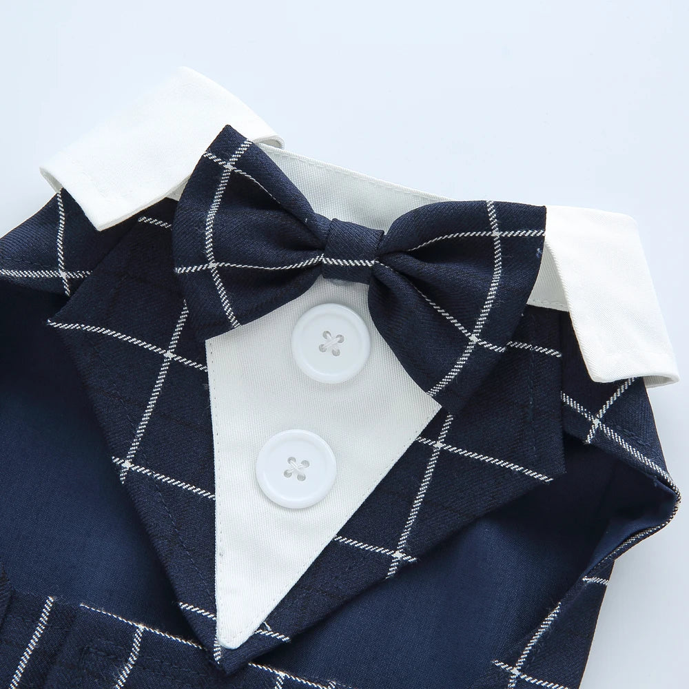 時尚寵物宴會禮服 - 完美宴會貓狗服飾