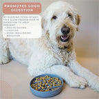 防滑矽膠慢食碗 - 防窒息寵物健康進食神器