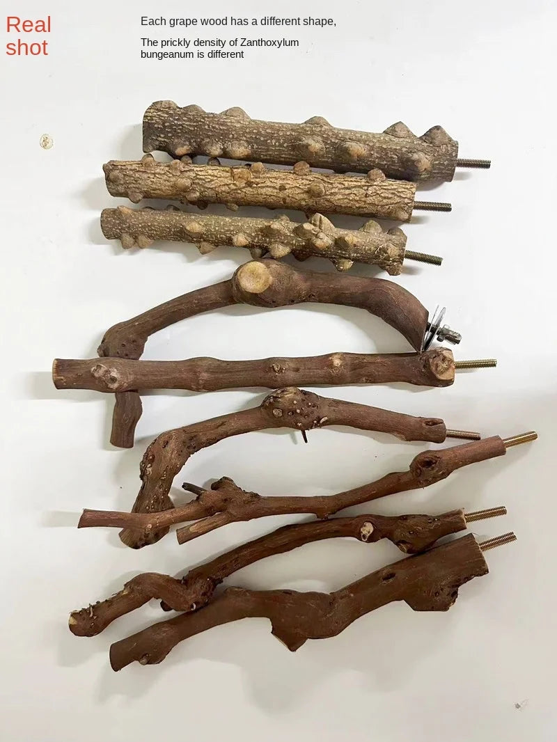 天然野葡萄木鸚鵡站桿 - 安全啃咬與磨爪站台