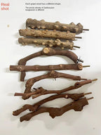 天然野葡萄木鸚鵡站桿 - 安全啃咬與磨爪站台