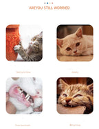 伸縮貓咪逗趣釣竿 - 三節羽毛互動玩具