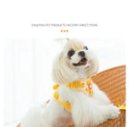 可調節法國鬥牛犬寵物肩背帶 - 動物圖案幼犬背心配帶背心