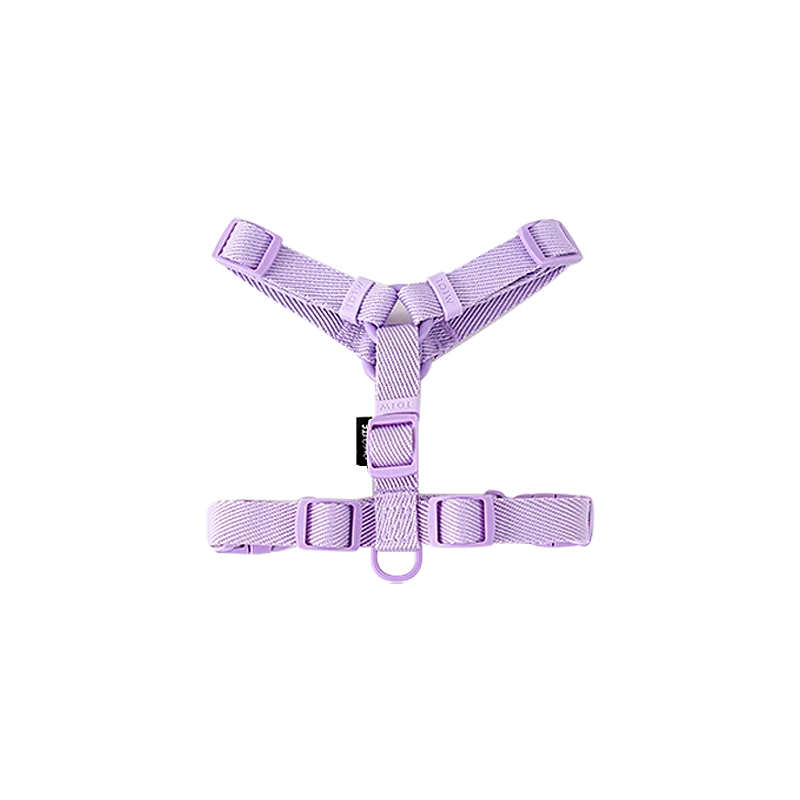 可調節幼犬背帶套裝 - 彩色反光安全出行