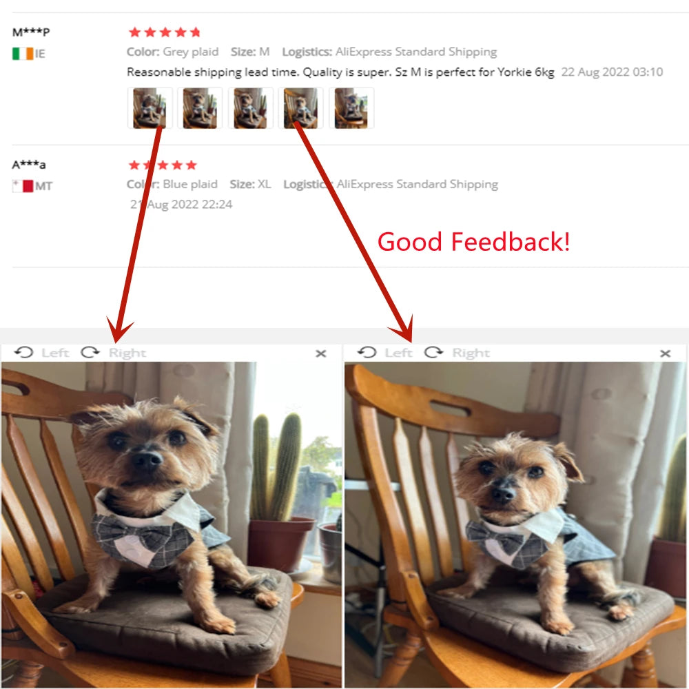時尚寵物宴會禮服 - 完美宴會貓狗服飾