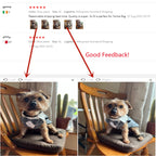 時尚寵物宴會禮服 - 完美宴會貓狗服飾