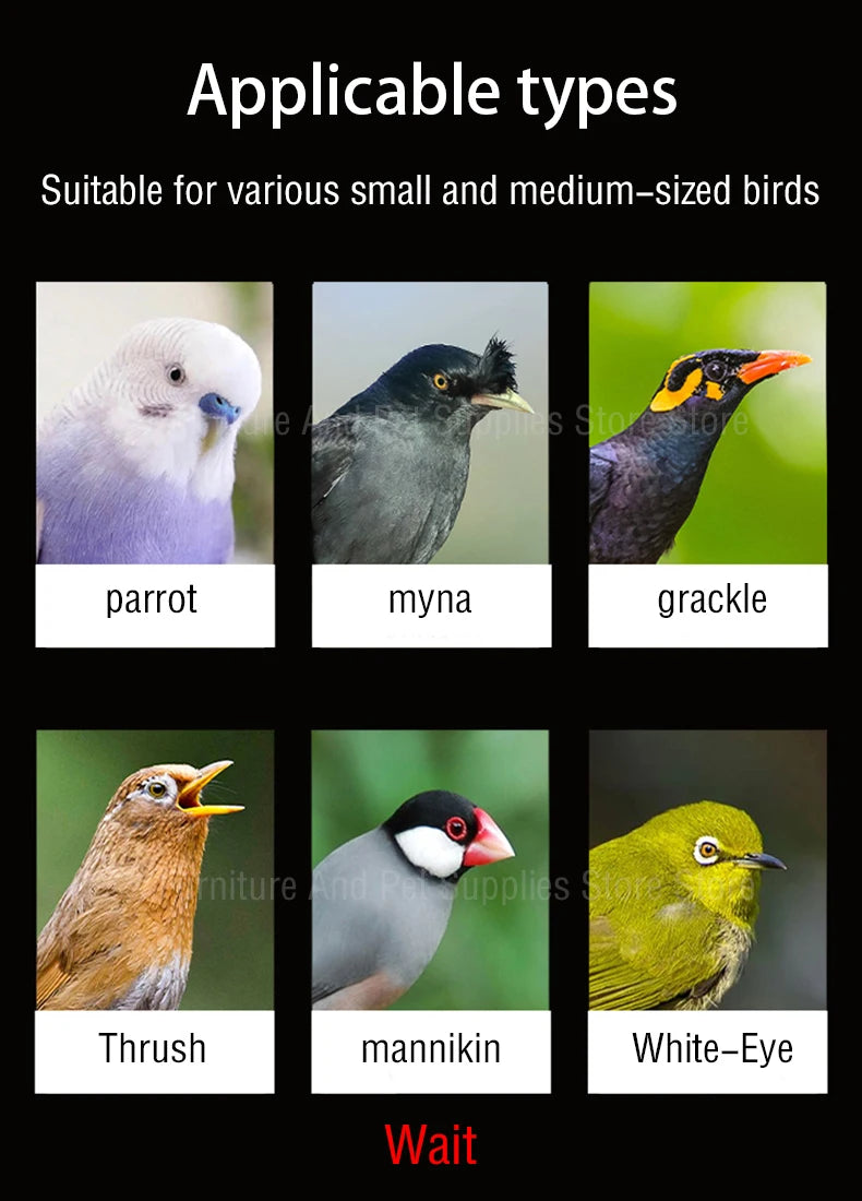 懸掛式鳥類沐浴盒 - 鸚鵡淋浴籠配件