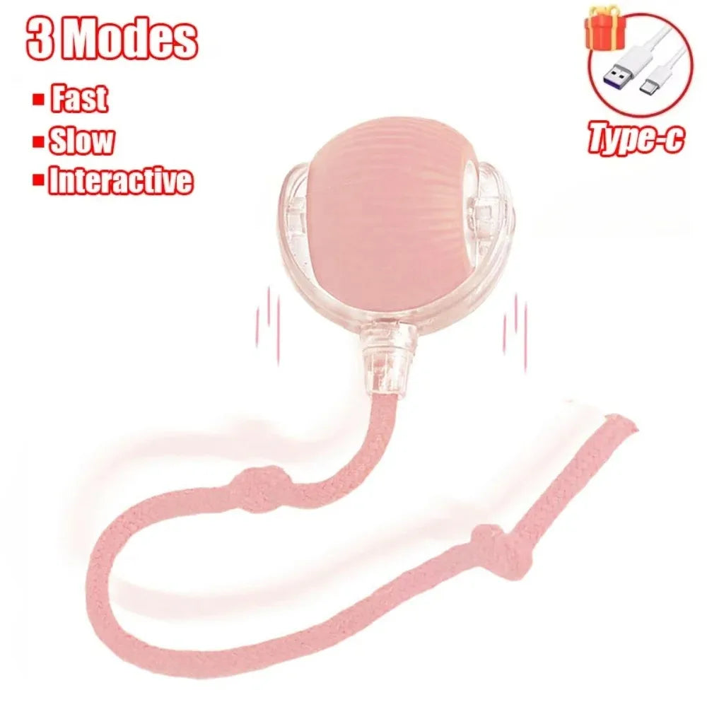 智能電動貓互動滾球玩具 - 充電式假尾娛樂神器