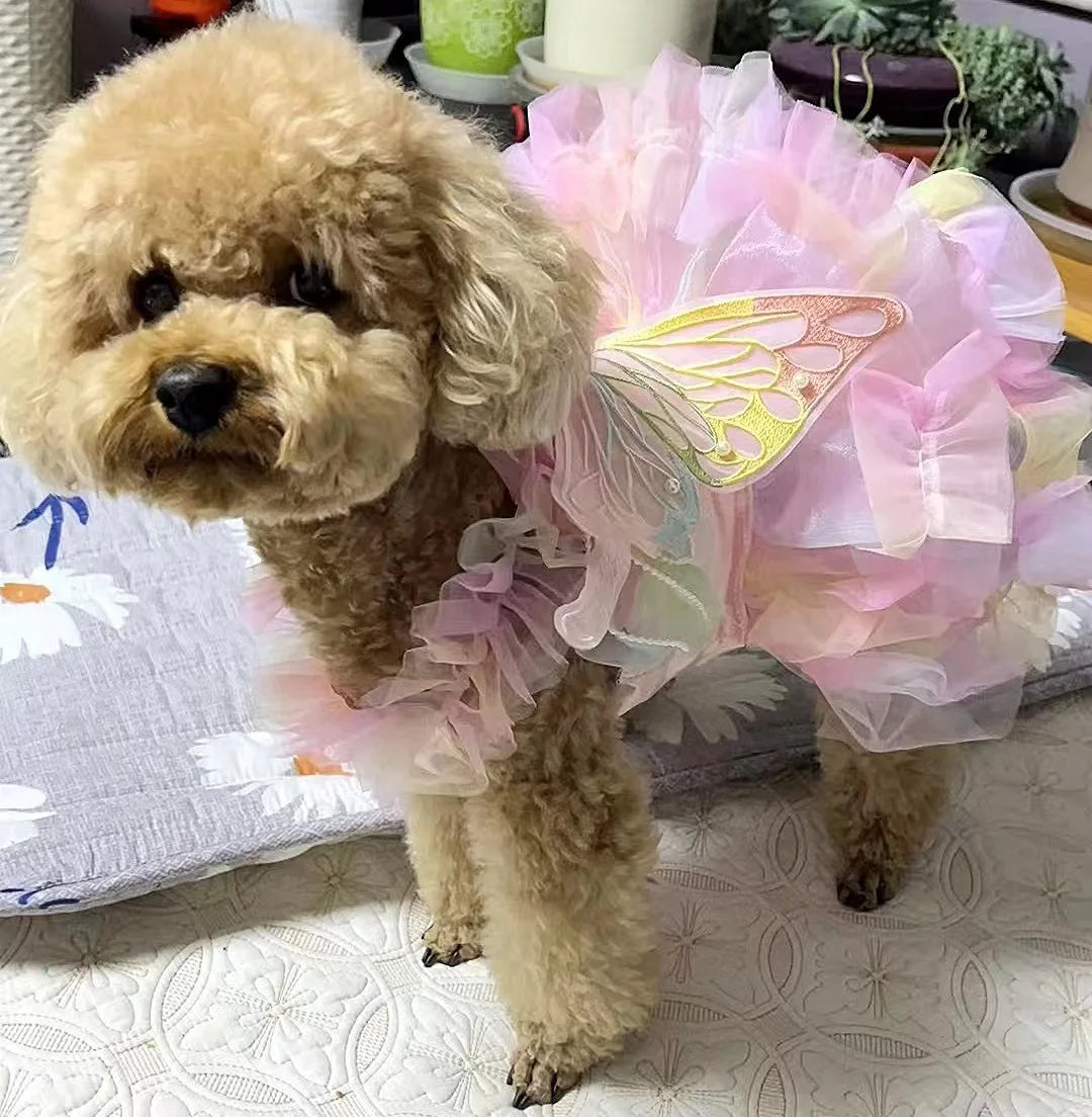 春季公主風貓狗連身裙 - 蕾絲條紋王妃服飾