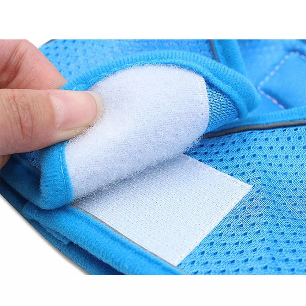 寵物外出繩 - 小貓小狗防走失肩背帶