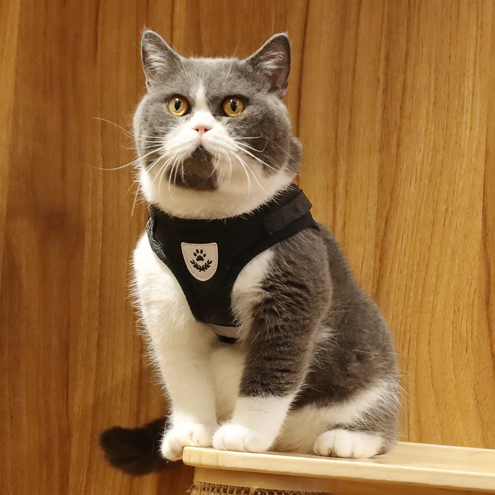 寵物外出繩 - 小貓小狗防走失肩背帶