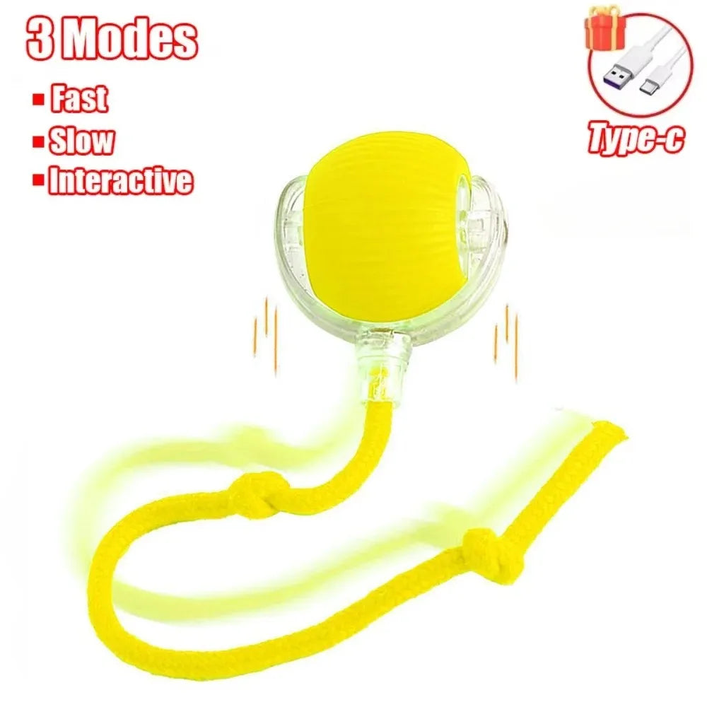 智能電動貓互動滾球玩具 - 充電式假尾娛樂神器