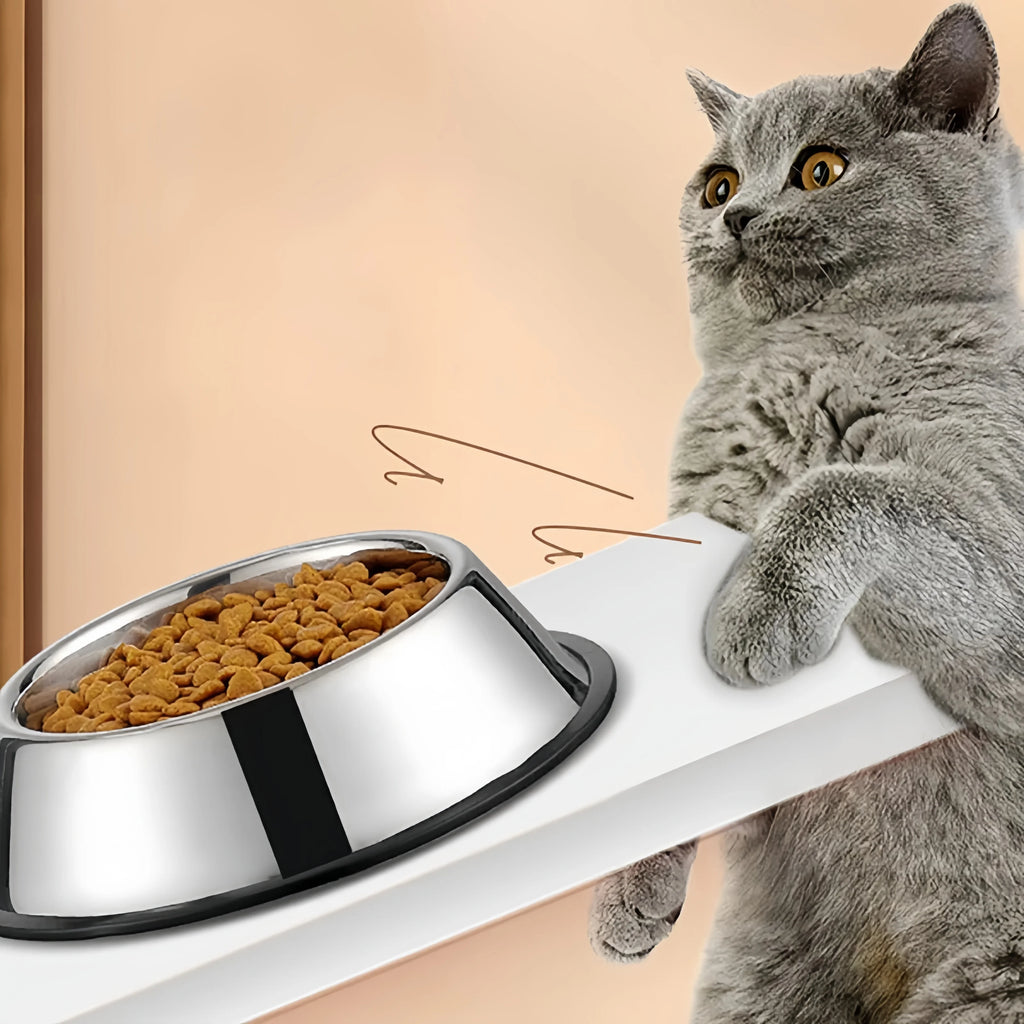 不銹鋼寵物食水碗 - 耐用健康飼養選擇