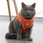 寵物外出繩 - 小貓小狗防走失肩背帶