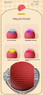 智能電動貓互動滾球玩具 - 充電式假尾娛樂神器